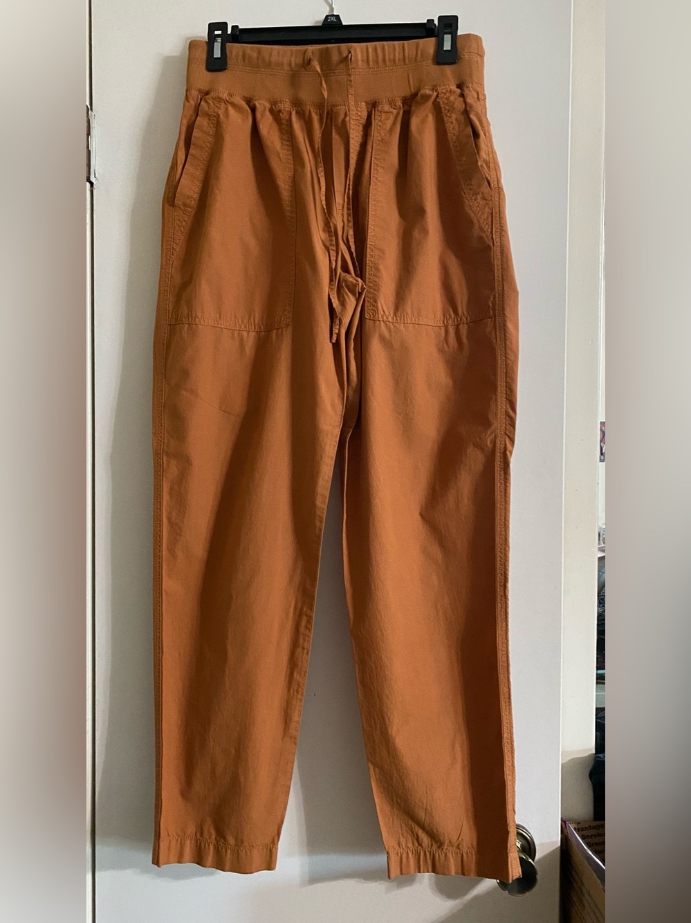 Lou & Grey Men's Drawstring Joggers in Rust